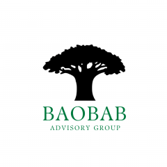 Baobab Advisory Group logo - Strategic Recruitment and Marketing Advisory